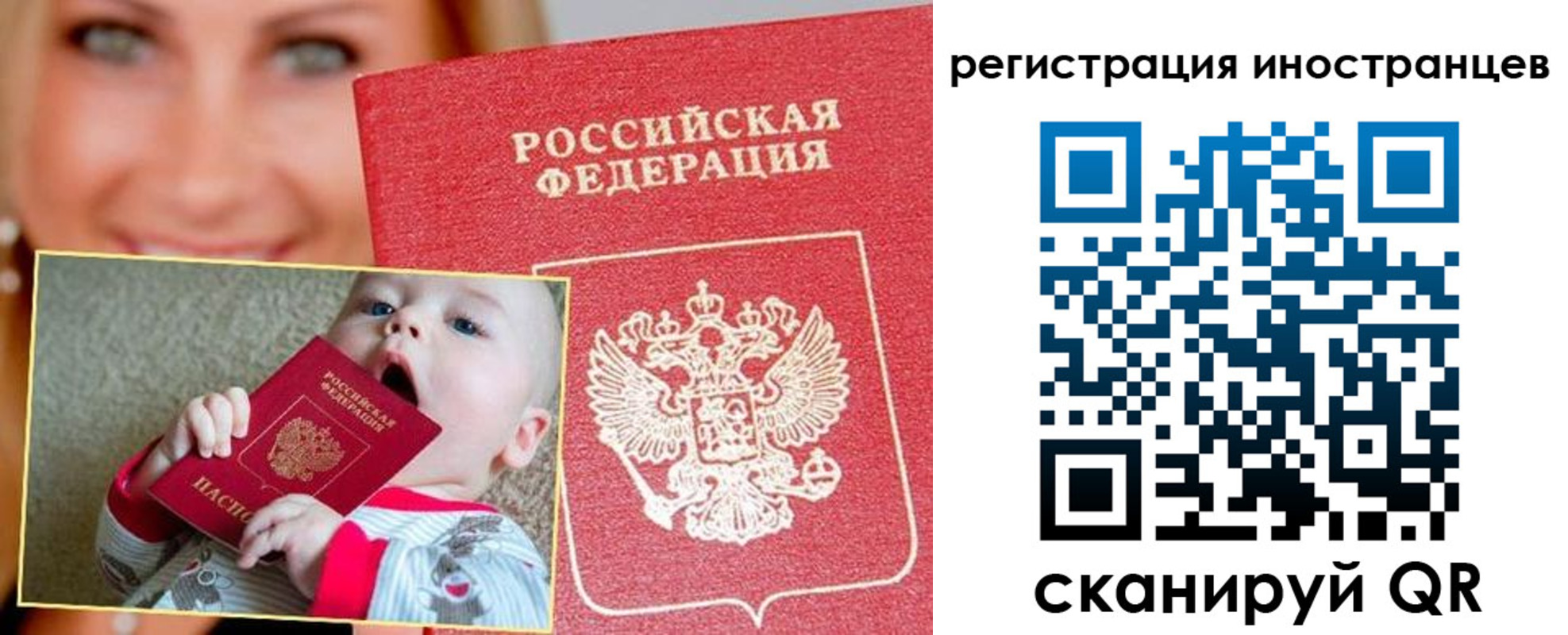 где прописаться в Димитровграде